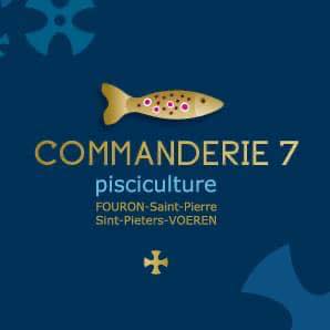 Commanderie 7 Icon